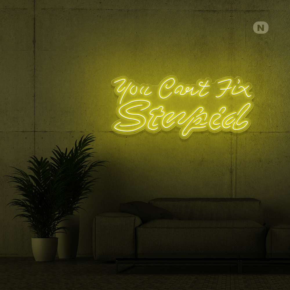 Neonskilt you can't fix stupid